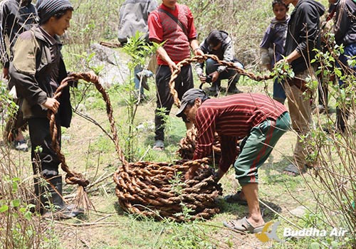 Rope for Honey hunting